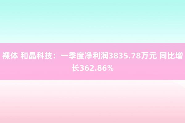 裸体 和晶科技：一季度净利润3835.78万元 同比增长362.86%