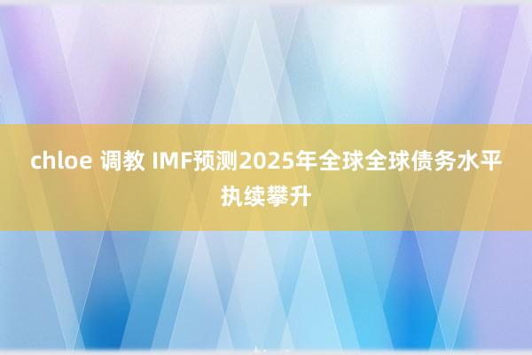 chloe 调教 IMF预测2025年全球全球债务水平执续攀升