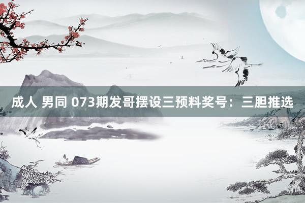 成人 男同 073期发哥摆设三预料奖号：三胆推选
