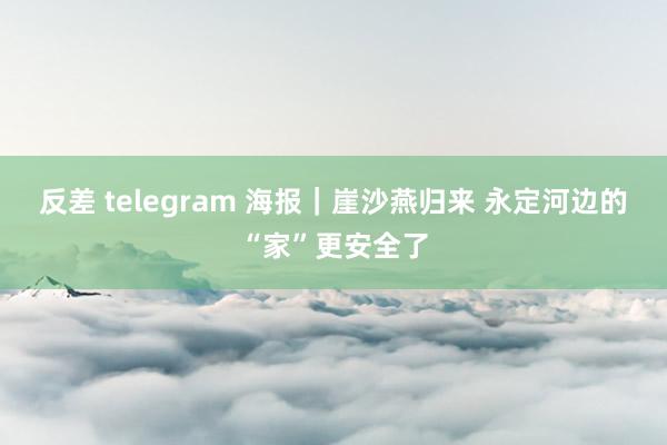 反差 telegram 海报｜崖沙燕归来 永定河边的“家”更安全了