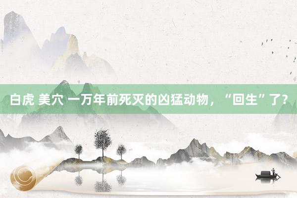 白虎 美穴 一万年前死灭的凶猛动物，“回生”了？