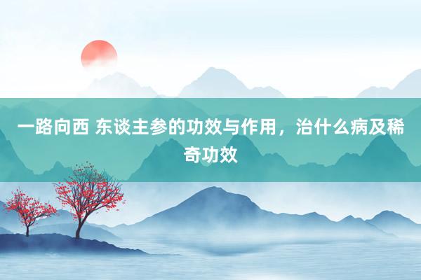 一路向西 东谈主参的功效与作用，治什么病及稀奇功效